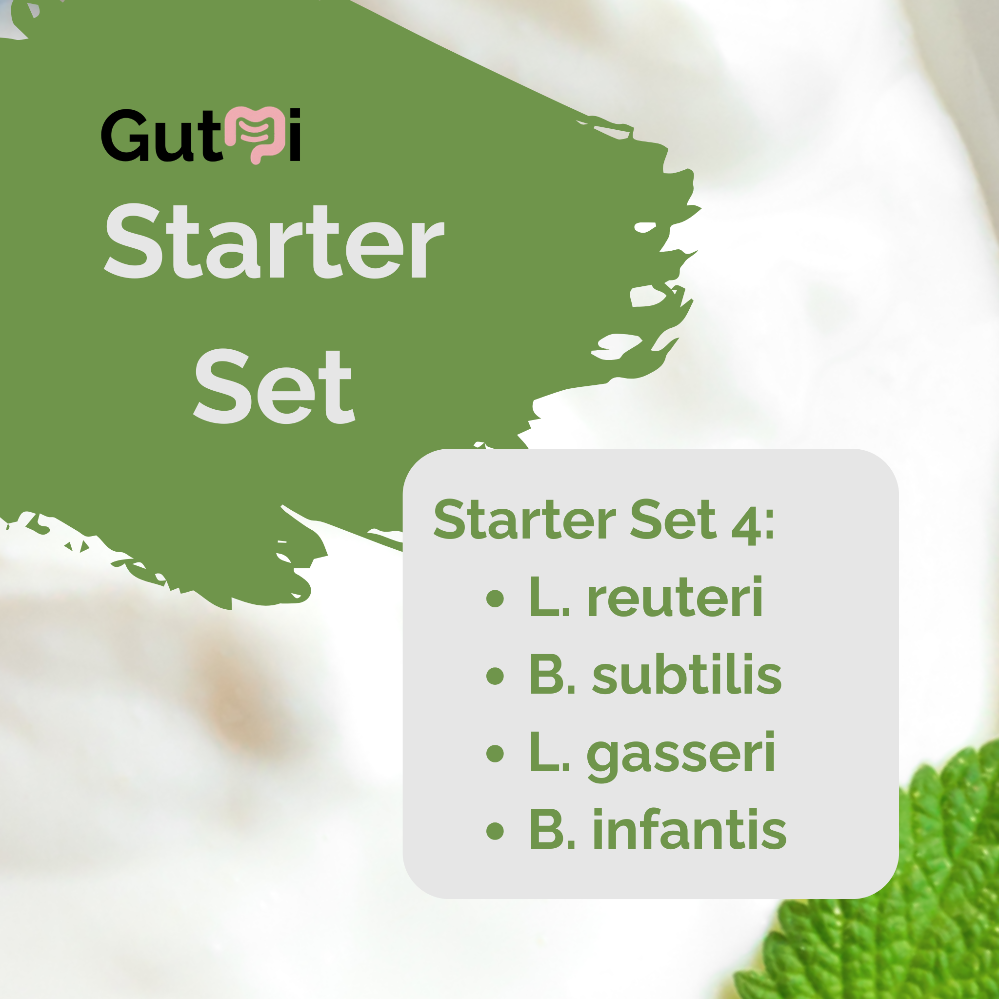 L. reuteri + B. subtilis + L. gasseri + B. infantis | Set Starter per Yogurt | SIBO Stable | Colture Starter | Confezione da 3
