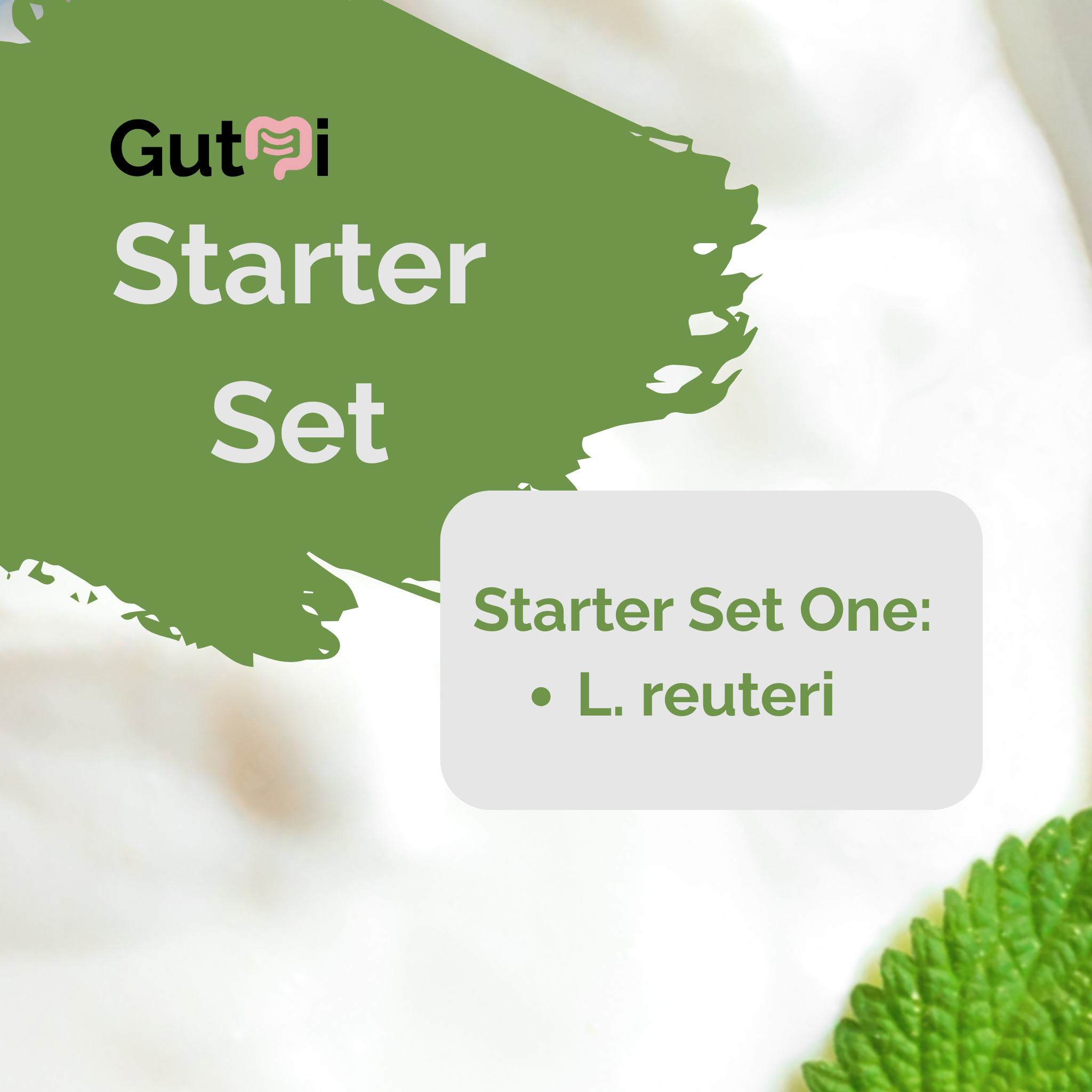 L. reuteri | Set Starter Yogurt | Colture Starter | Confezione da 3