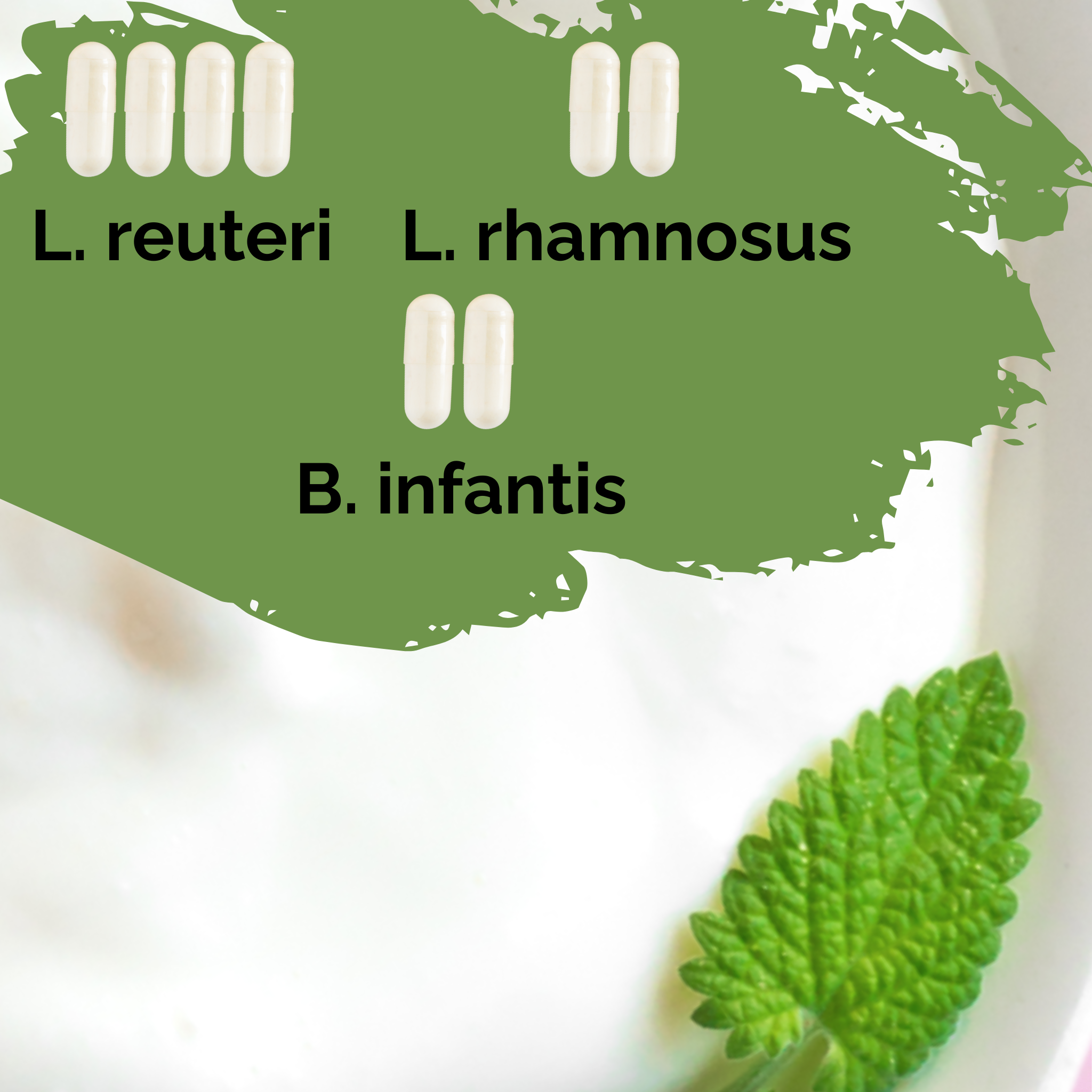 L. reuteri + L. rhamnosus + B. infantis | Set Starter Yogurt | HappyGut | Colture Starter | Confezione da 3