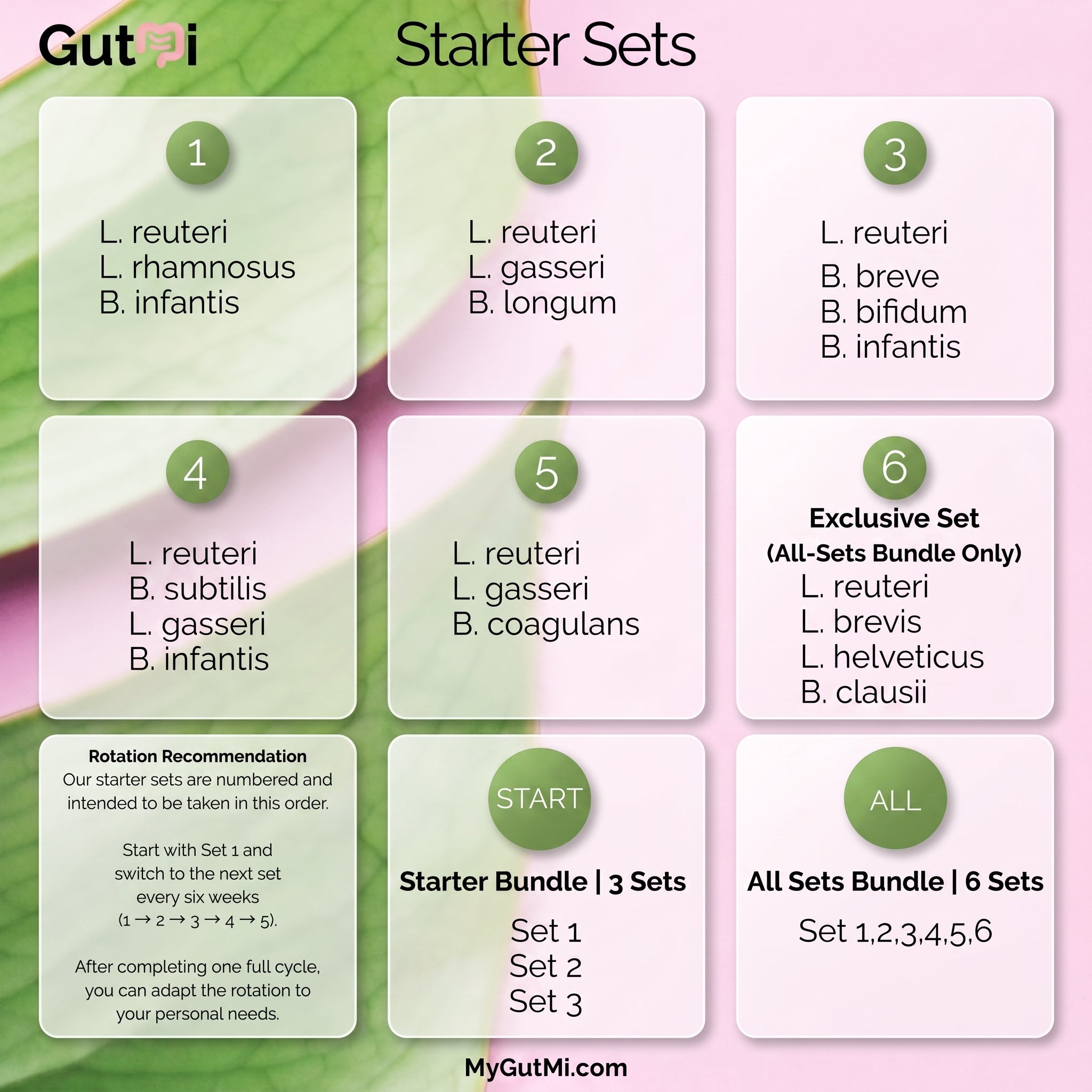 L. reuteri + B. coagulans + L. gasseri | SIBO | Set iniziale per yogurt | Colture starter | 3 starter per yogurt