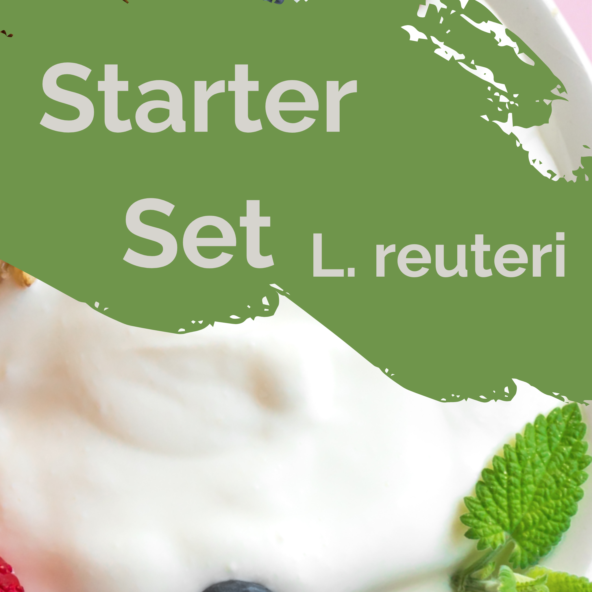 L. reuteri | Set Starter Yogurt | Colture Starter | Confezione da 3