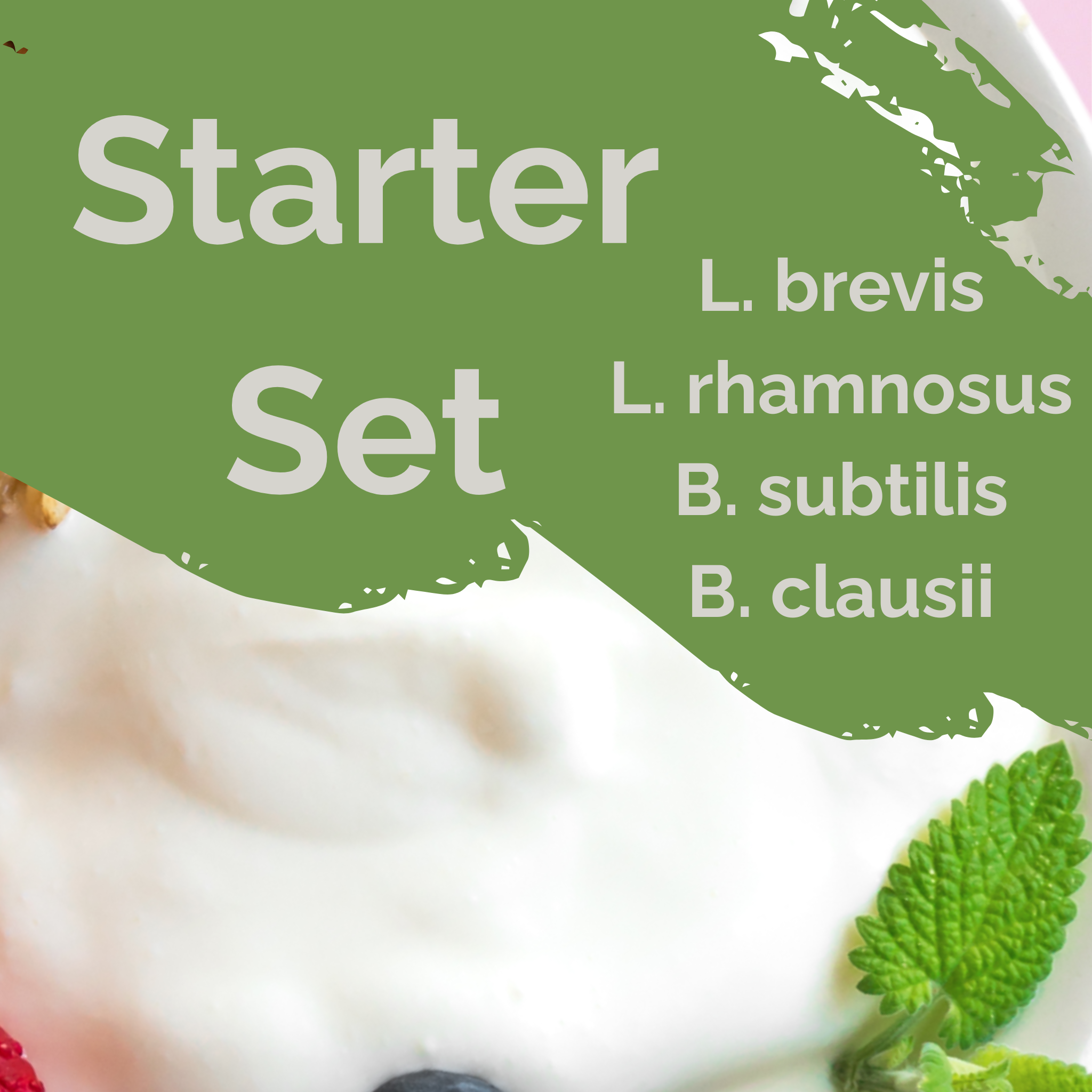 L. brevis + L. rhamnosus + B. subtilis + B. clausii | Set Starter per Yogurt | Protezione Intestinale | Colture Starter | Confezione da 3