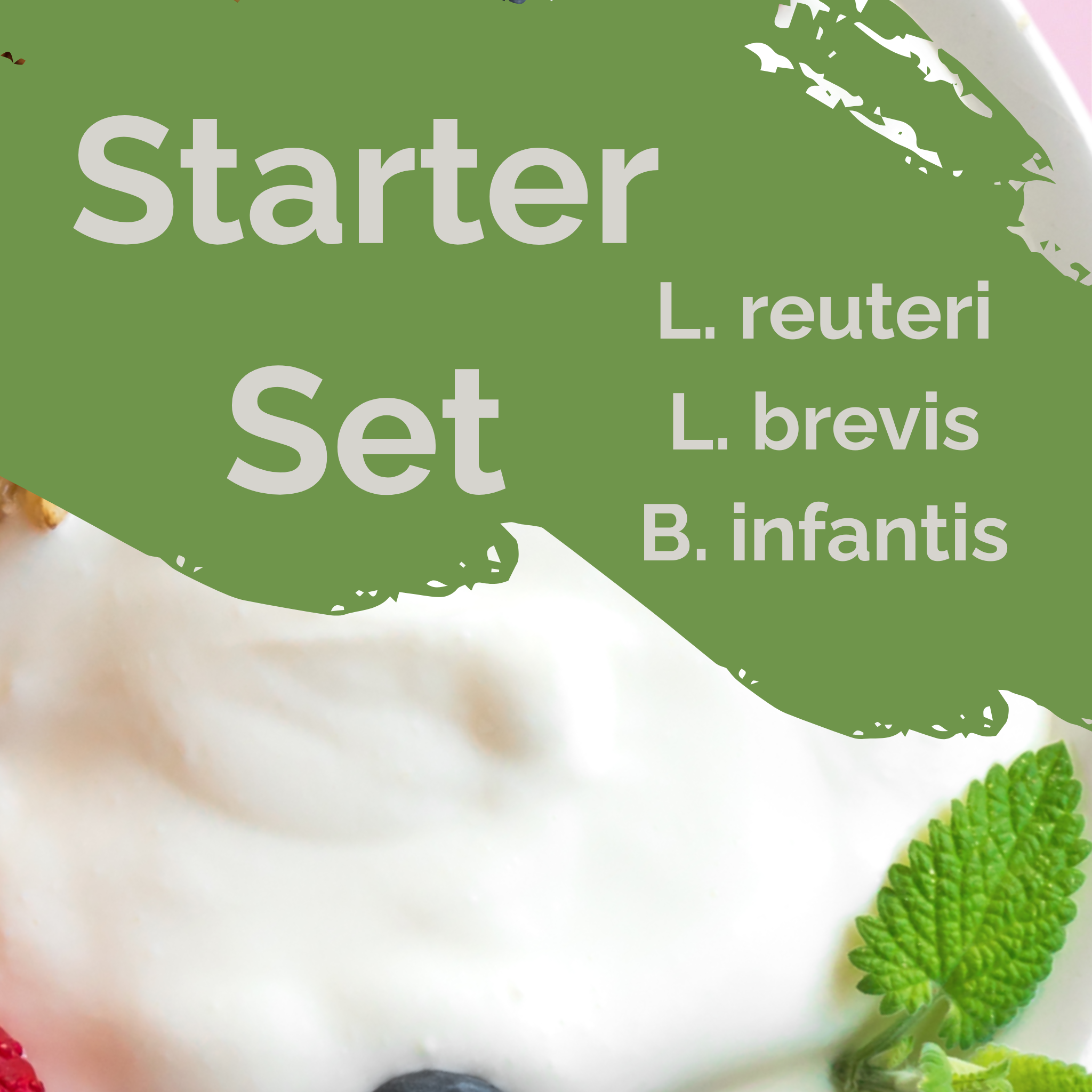 L. reuteri + L. brevis + B. infantis | Set Starter Yogurt | Intestino Cervello | Colture Starter | Confezione da 3